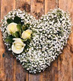 Gypsophila Heart