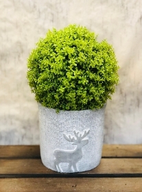 Festive Reindeer Planter (Artificial)