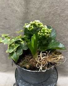 Mother’s Day planter